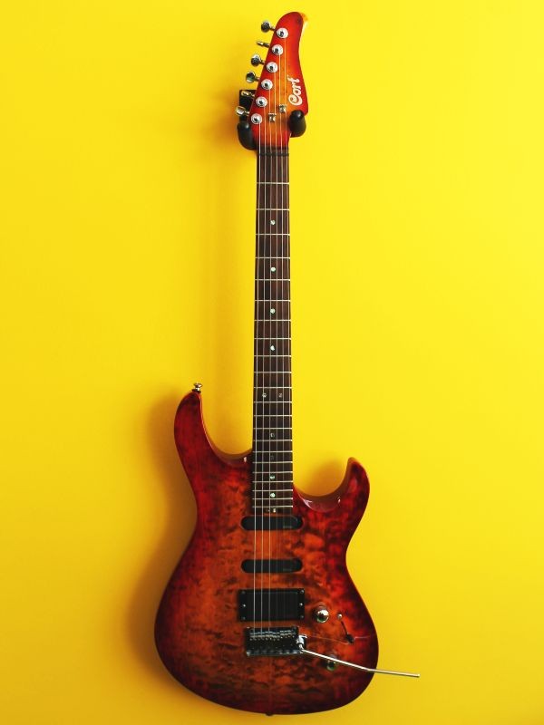 Cort G-Custom EMG